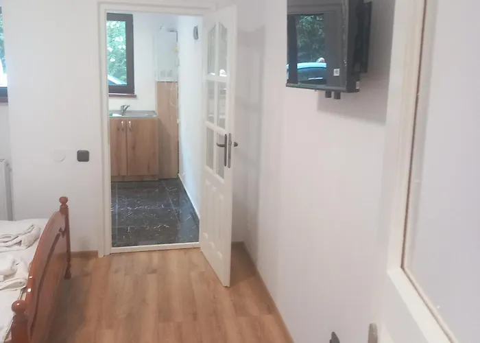 Apartment Garsoniera Centru Ap 4 *