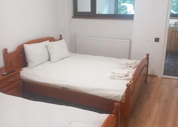 Garsoniera Centru Ap 4 Apartment Cluj-Napoca